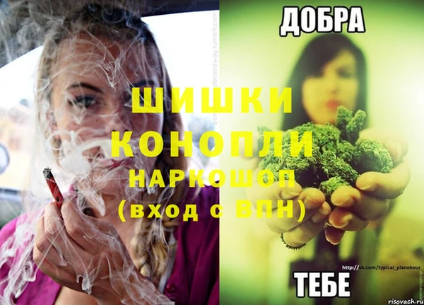 mix Богородицк